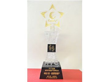 2013年创造城市价值地产品牌企业